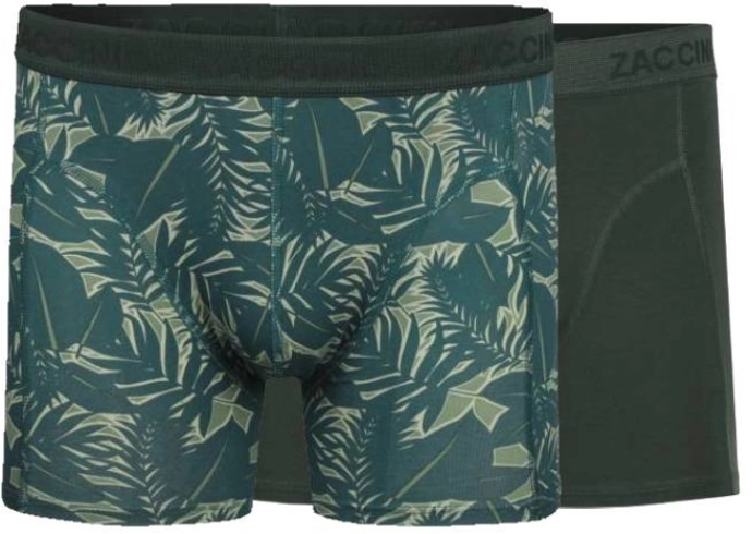 Zaccini 2-pack: Ficus